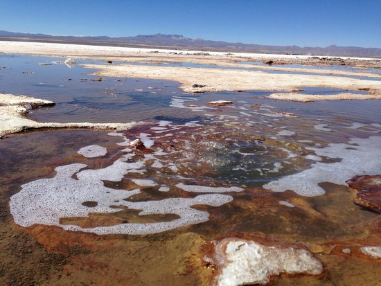 Andes Salt Expeditions - Day Tours