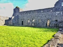 Paddywagon Tours
