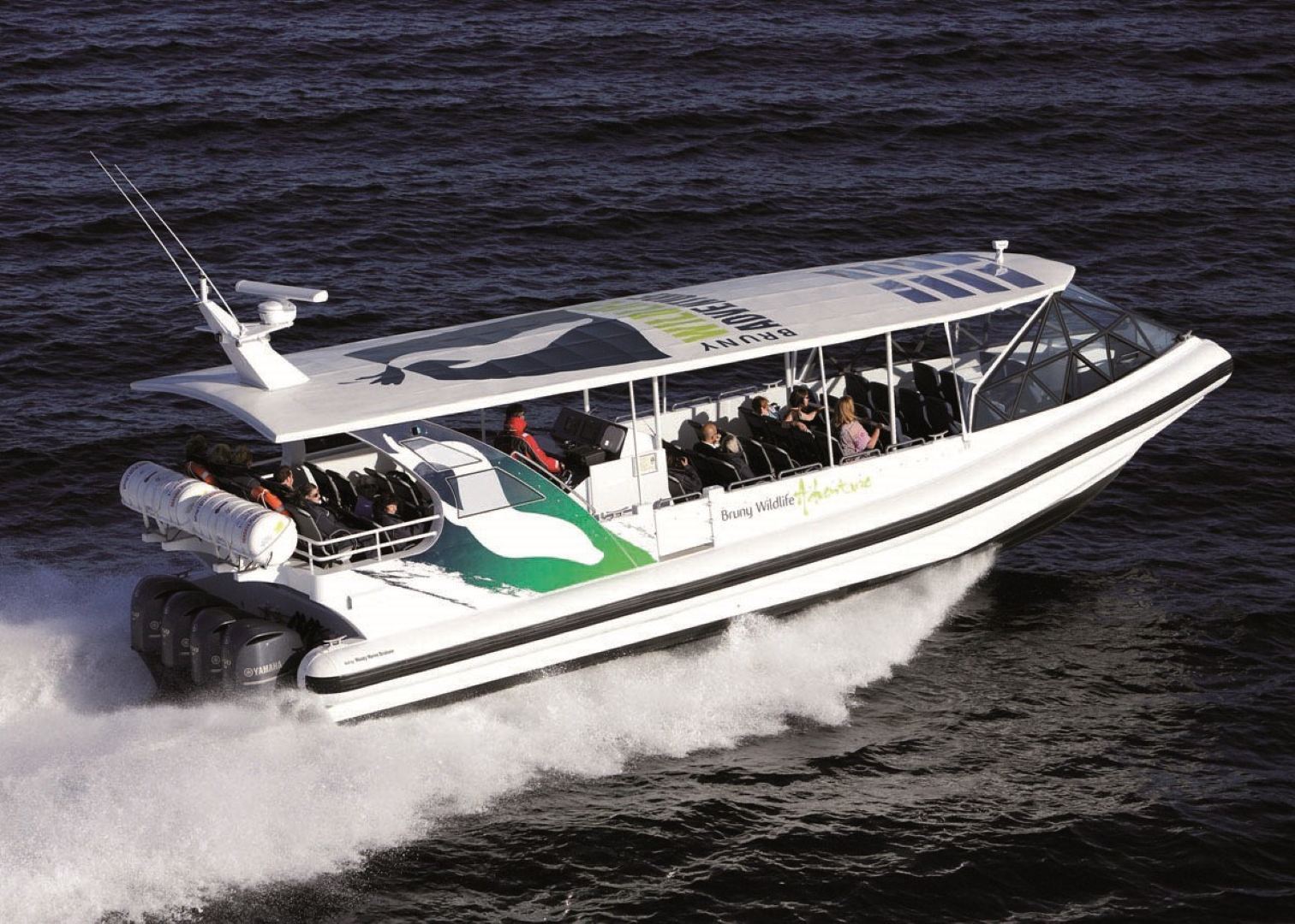 Bruny Wildlife Adventure