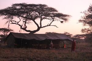 Africa Joy Tours - Day Tours