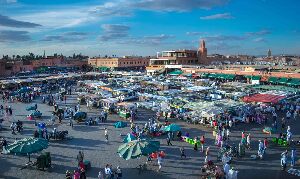 Athene Of Africa Tours