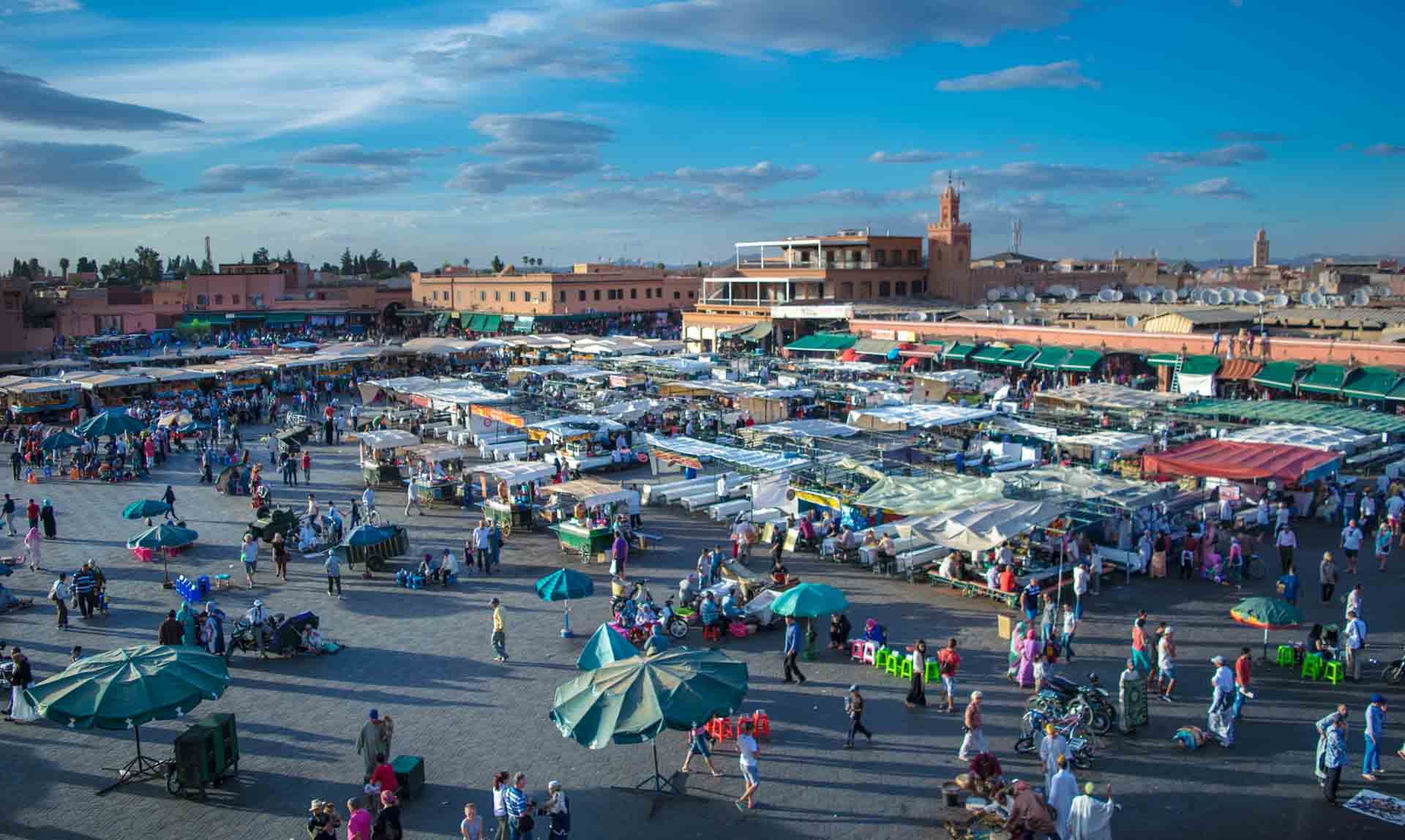 Athene Of Africa Tours