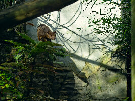 Chessington England Resort