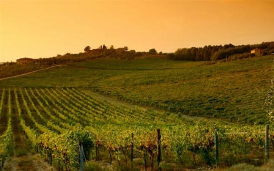 Get Italy - Day Tours