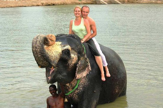 Real Tours India - Private Day Tours