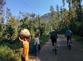 MuddyBoots Vacations - Day Trips