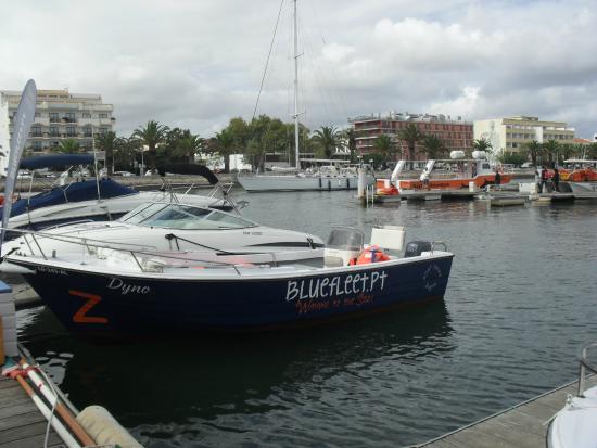 Bluefleet - Boat Trips and Tours