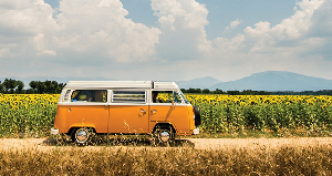 Vintage Road Trips