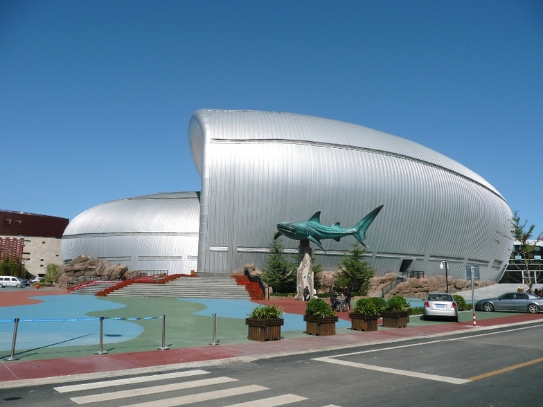Yantai Whale Shark Acquarium