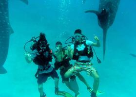 Oslob Philippines Whale Shark