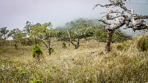 Cordillera Region Philippines National park