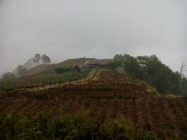 Timbak Trail