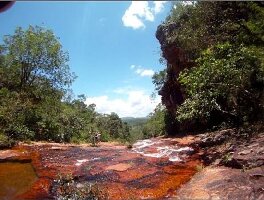 Brazil Natural Reserve