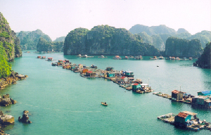 Lan Ha Bay Cruise