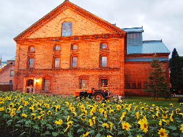 The Hokkaido University Museum