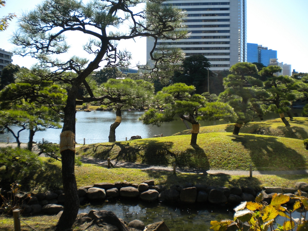 Yurigahara Park
