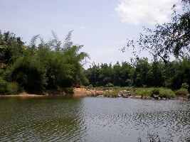 Cauvery River