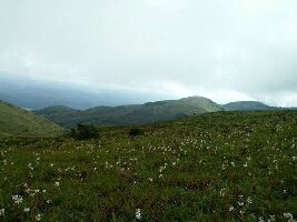 Tadiandamol Peak
