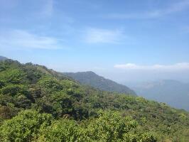 India Wildlife Sanctuary