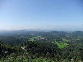 Kotebetta