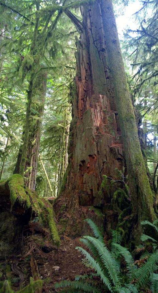Cathedral Provincial Park