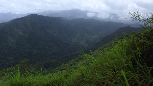 Neelimala Viewpoint