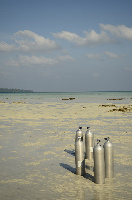 Dive India