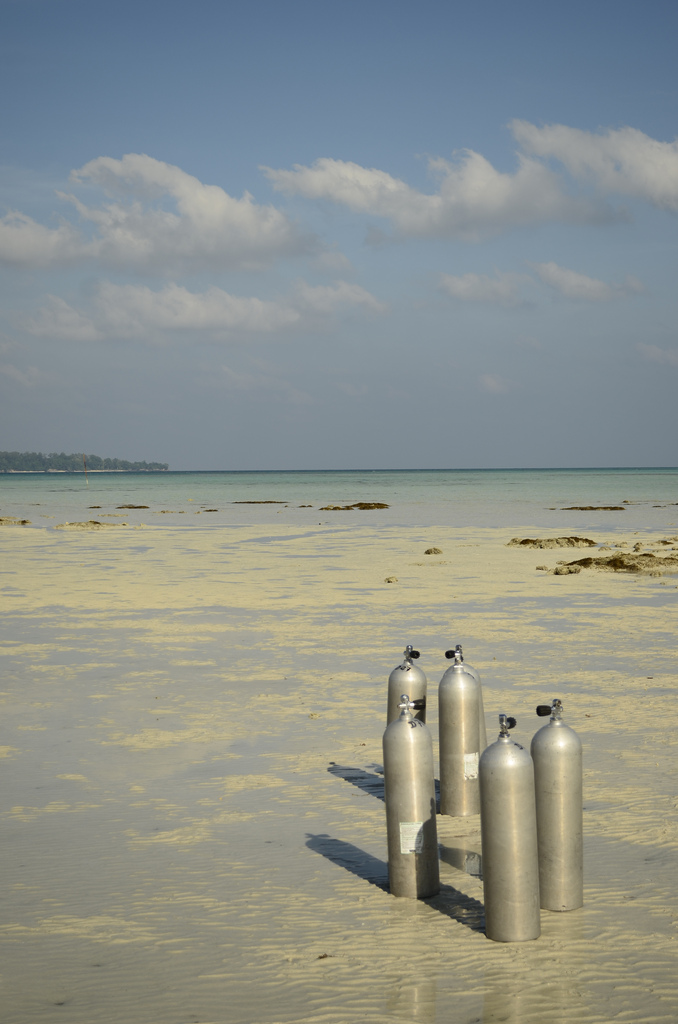 Dive India