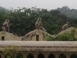 Travelogy India Private Limited - Private Tours