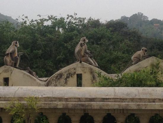 Travelogy India Private Limited - Private Tours