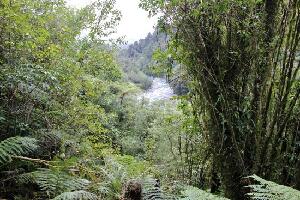 Tatare Tunnels Walk