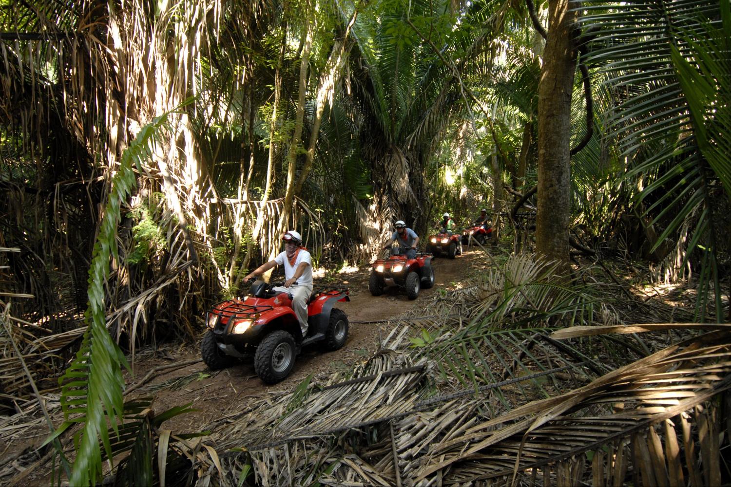 ATV Jungle and Cenote Tour