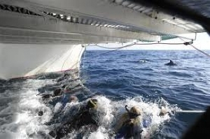 Port Stephens Australia Swim