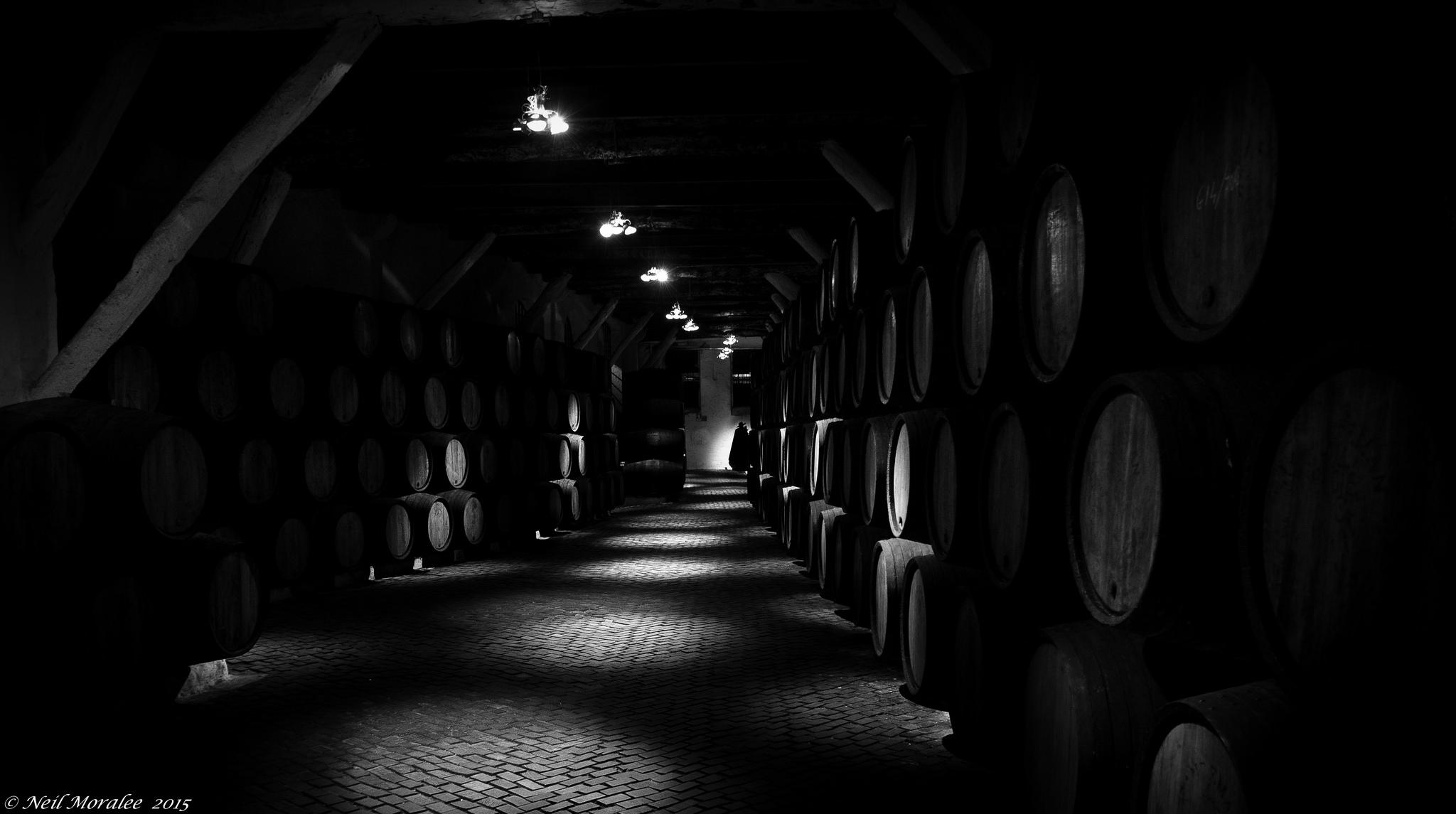 SANDEMANs NEW Europe - Liverpool