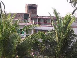 Tour de Sundarbans - Day Tours