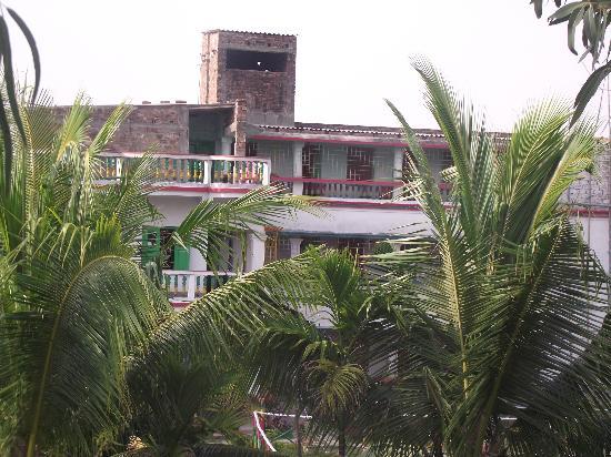 Tour de Sundarbans - Day Tours