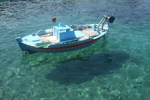 No Limits Speed Boats