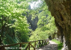 Ruta Del Alba