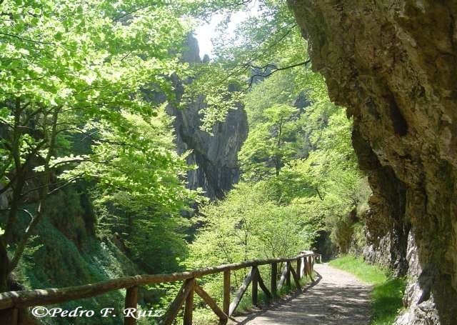Ruta Del Alba