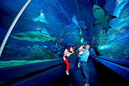 Istanbul Sea Life Aquarium