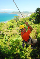 Jaco Canopy Tour
