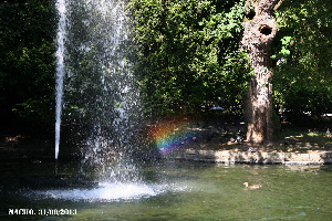 Campo de San Francisco