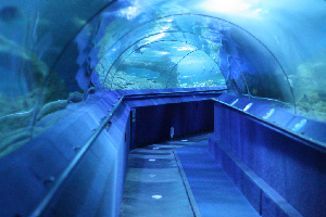 Hillarys Australia Aquarium