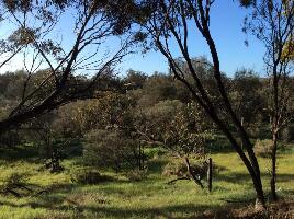 Gwambygine Pool Conservation Reserve