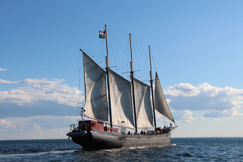 Tallship Cruises