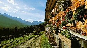 Emmentaler Schaukaeserei