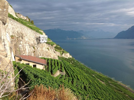 Swiss Riviera Wine Tours