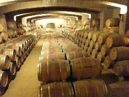 Vina Undurraga