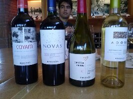 Chilean Wine Lovers