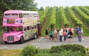 Wolfville Canada Winery Tour